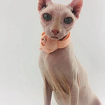 Cat Toy Moving Laser Pointer Flashlight Function