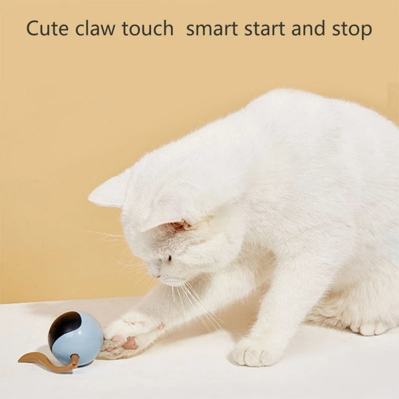 Cat Toy Self-Rolling LED USB Rechargeable