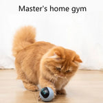 Cat Toy Self-Rolling LED USB Rechargeable