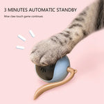 Cat Toy Self-Rolling LED USB Rechargeable