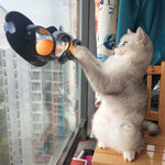 Cat Track Ball Toy Wall Or Window Mount Space-Saving