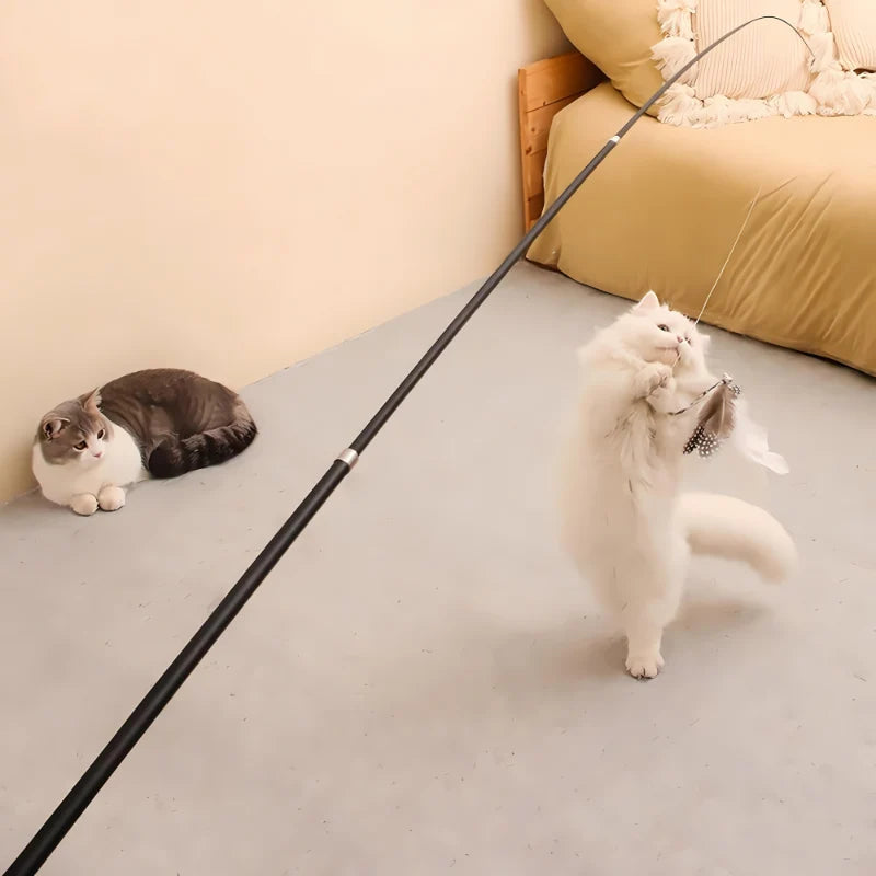 Cat Wand Toy Telescopic Carbon Fiber Cartoon Teaser