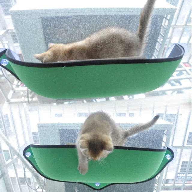 Cat Window Hammock 3 Suction Cups Removable Pad