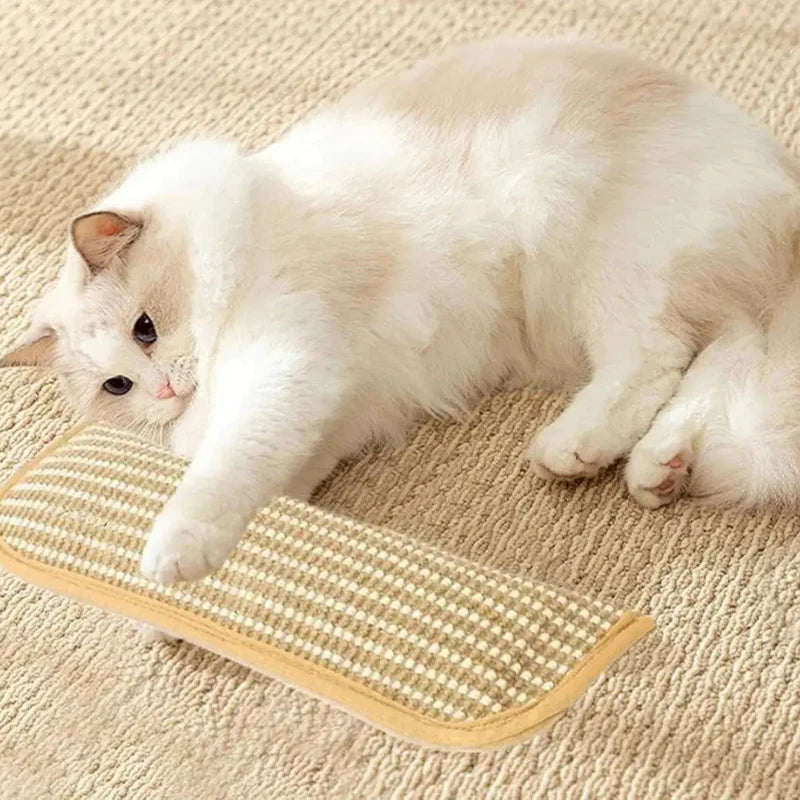 Catnip Pillow Plush Mint Infused Scratch Surface