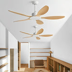 Ceiling Fan Quiet Reversible DC Motor Remote Controls