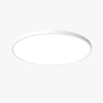 Ceiling Light Flush Mount LED IP54 Splash-Resistant Adjustable Color Temperature