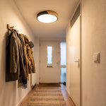 Ceiling Light Integrated LED Diffused Light