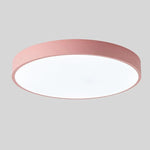 Ceiling Light Integrated LED Diffused Light