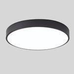 Ceiling Light Integrated LED Diffused Light