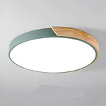 Ceiling Light Integrated LED Diffused Light