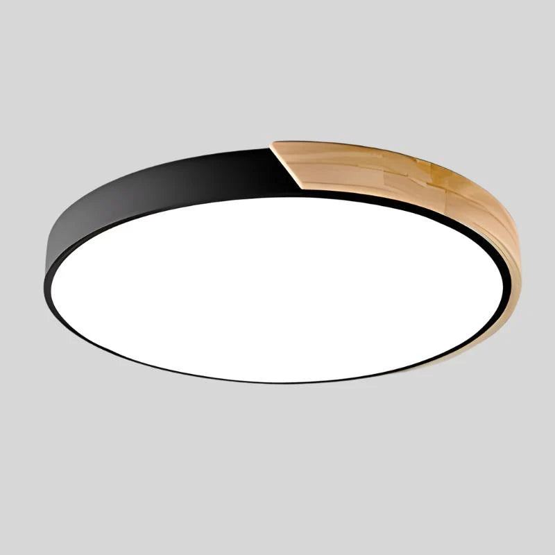 Ceiling Light Integrated LED Diffused Light