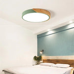 Ceiling Light Integrated LED Diffused Light