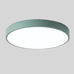 Ceiling Light Integrated LED Diffused Light