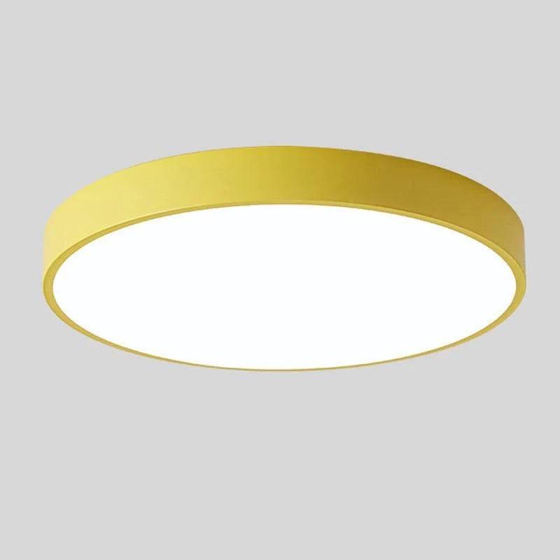 Ceiling Light Integrated LED Diffused Light