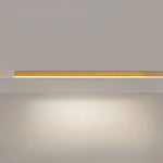 Ceiling Light Integrated LED Dimmable Remote Control