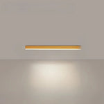 Ceiling Light Integrated LED Dimmable Remote Control