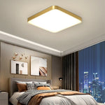 Ceiling Light LED Dimmable Multiple Shapes