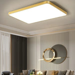 Ceiling Light LED Dimmable Multiple Shapes