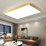 Ceiling Light LED Dimmable Multiple Shapes