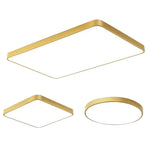 Ceiling Light LED Dimmable Multiple Shapes