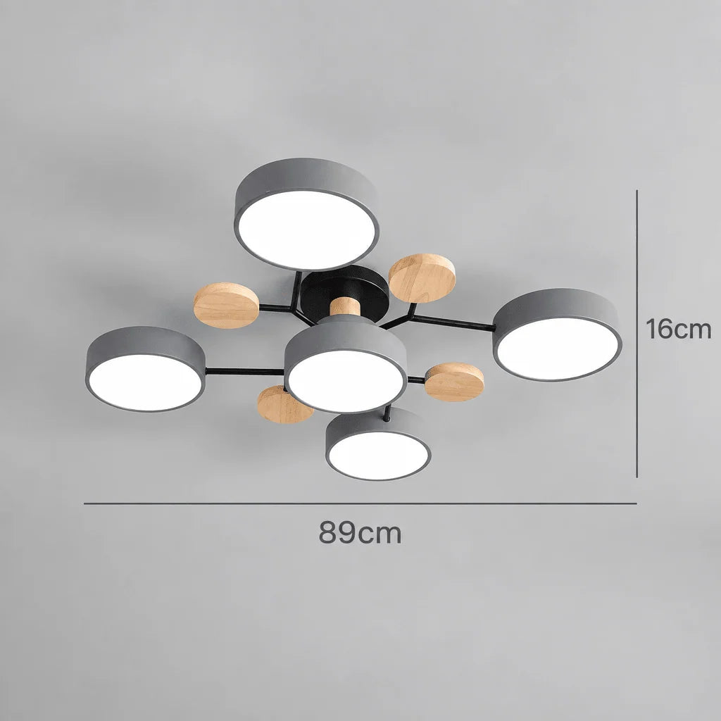 Ceiling Light LED Round Three-Color Replaceable LEDs