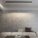 Ceiling Light LED Slim Flush Mount Adjustable Color Temperature