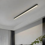 Ceiling Light LED Slim Flush Mount Adjustable Color Temperature