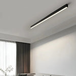 Ceiling Light LED Slim Flush Mount Adjustable Color Temperature