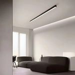 Ceiling Light LED Slim Flush Mount Adjustable Color Temperature