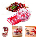 Cherry Pitter Stainless Steel Blade Press-Down Design
