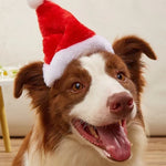 Christmas Hat Soft Fabric Faux Fur Trim & Pompom