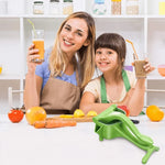 Cold Press Juicer Slow Extraction Dishwasher-Safe Parts