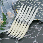 Cutlery Set 24 Piece Stainless Steel Ivory Handles