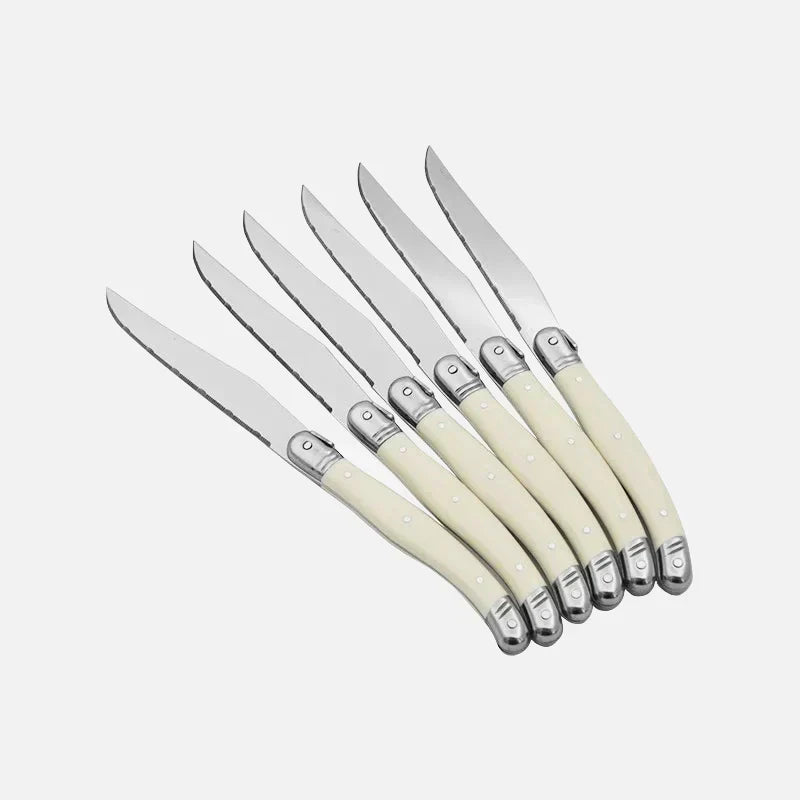 Cutlery Set 304 Stainless Steel Ivory Resin Handles