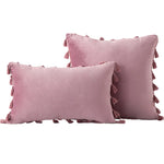 Decorative Pillow Set Velvet Tassel Trim Plush Inserts
