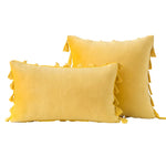 Decorative Pillow Set Velvet Tassel Trim Plush Inserts