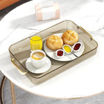 Dish Drainer Tray Dual-Use Serving Plastic Grid