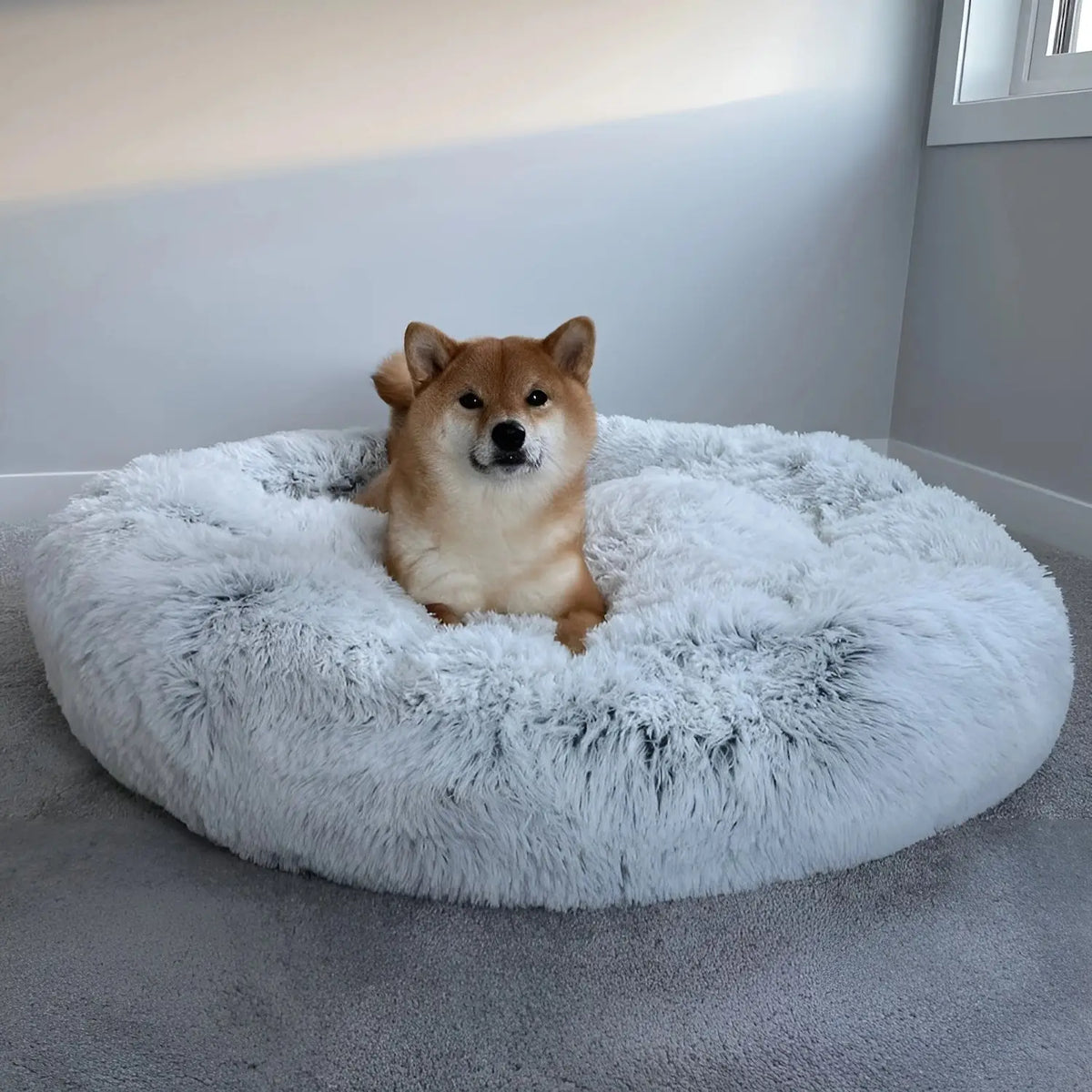 Dog Bed Eight Sizes Breed-Based Size Guide