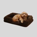 Dog Bed Plush Padded Raised Sides Removable Machine-Washable Cover