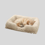 Dog Bed Plush Padded Raised Sides Removable Machine-Washable Cover