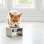 Dog Bowl Stand Stainless Steel Non-Slip Three Heights