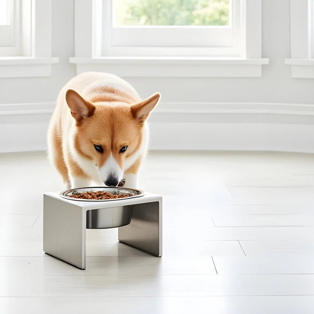 Dog Bowl Stand Stainless Steel Non-Slip Three Heights