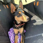 Dog Car Seat Extender Waterproof Memory Foam Rigid Base
