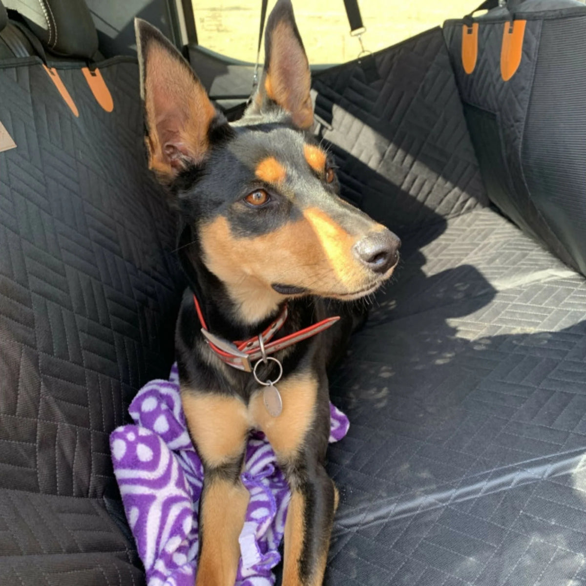 Dog Car Seat Extender Waterproof Memory Foam Rigid Base