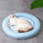 Dog & Cat Bed Plush Bolster Non-Slip Base