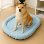 Dog & Cat Cooling Mat Pressure-Activated Ice Silk Joint-Supportive