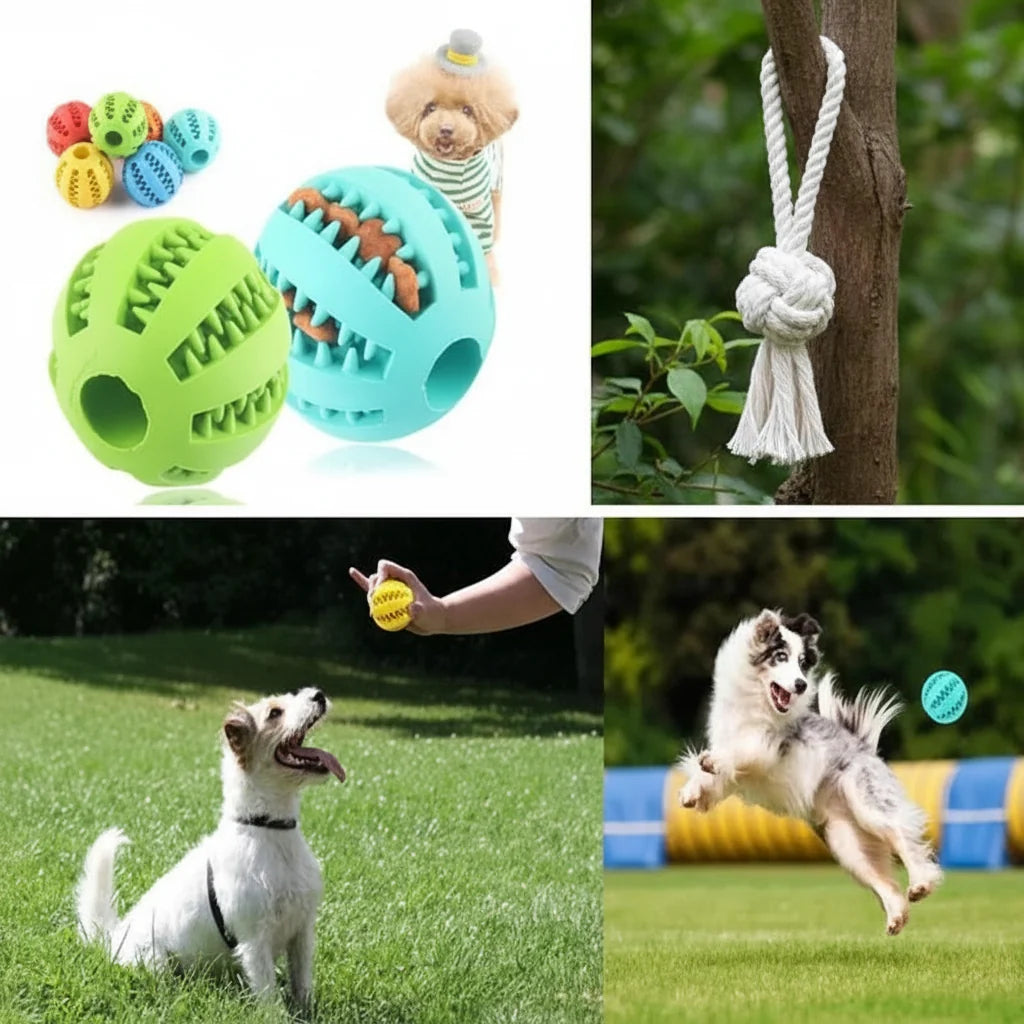 Dog Chew Ball Treat-Dispensing Textured Natural Rubber