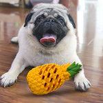 Dog Chew Toy Durable Natural Rubber Treat Dispenser