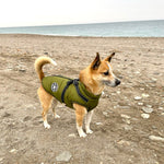 Dog Coat Water-Resistant Integrated Harness Reflective Details