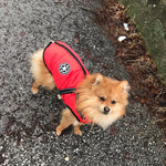 Dog Coat Water-Resistant Integrated Harness Reflective Details